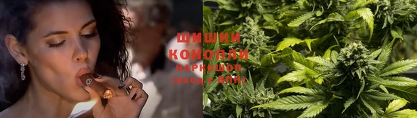 a pvp Аркадак